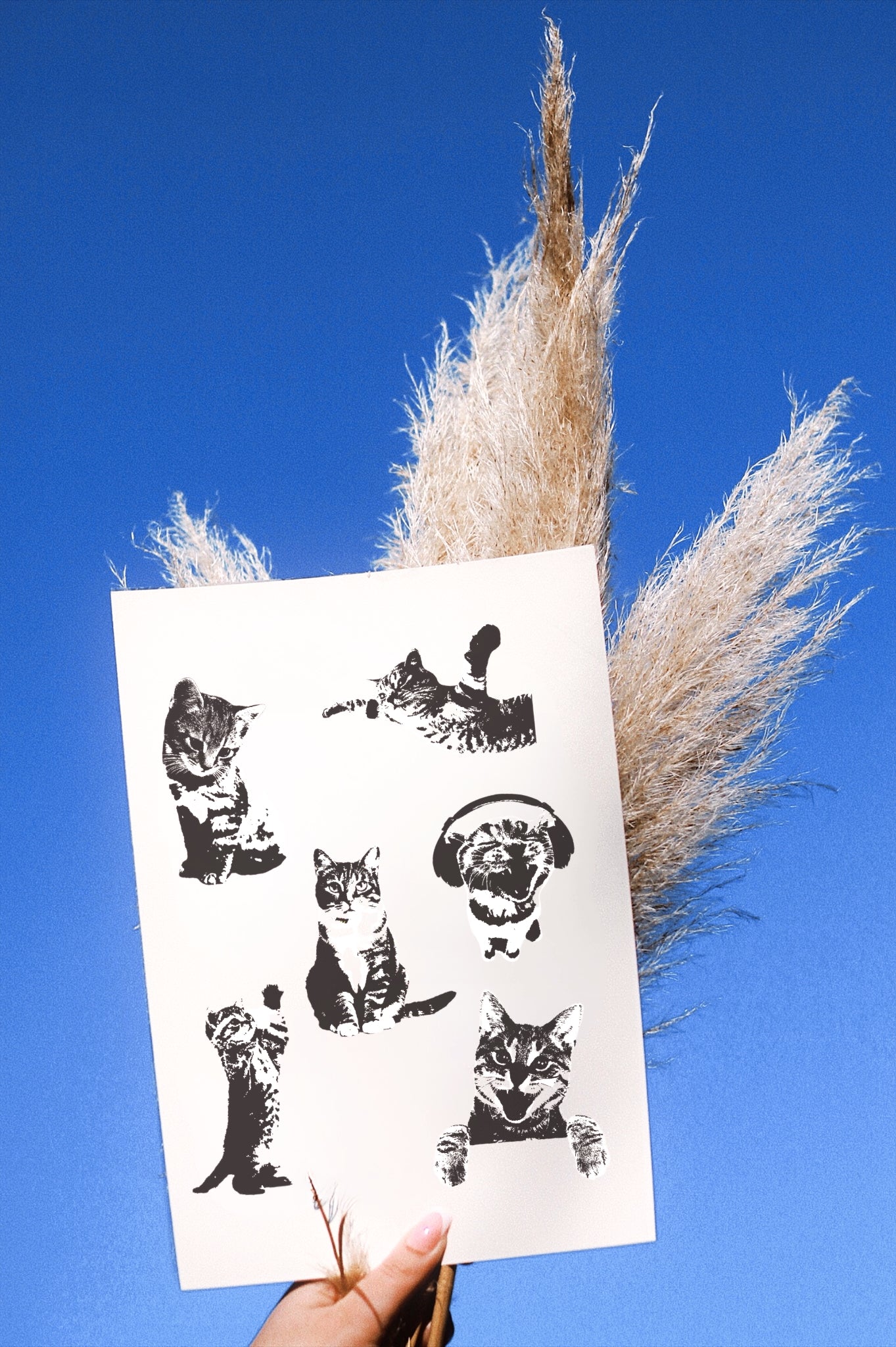 Highcontrast temporäre Tattoos Katzen 🐈‍⬛